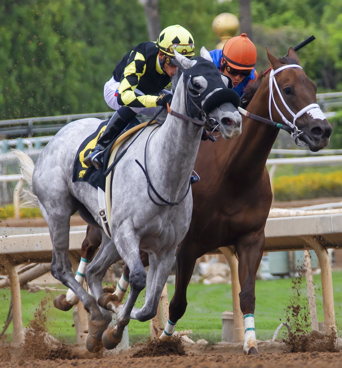 Unlocking the Winning Tactics: Mastering In-Play Betting for Maximum Sports Wagering Success